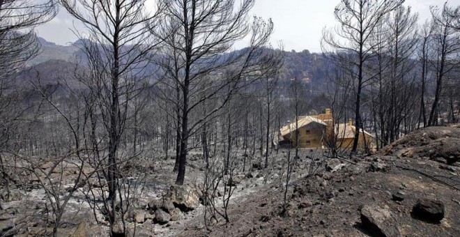 Más de 3.000 hectáreas han sido devoradas por el fuego en Llutxent (Valencia) / EFE