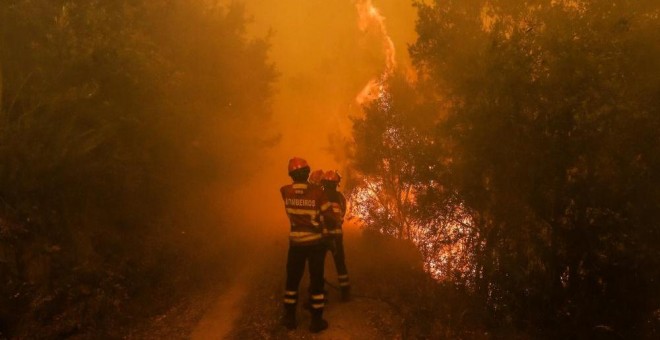 Varios bomberos tratan de detener el avance del fuego en Pedrógão Grande.- EFE