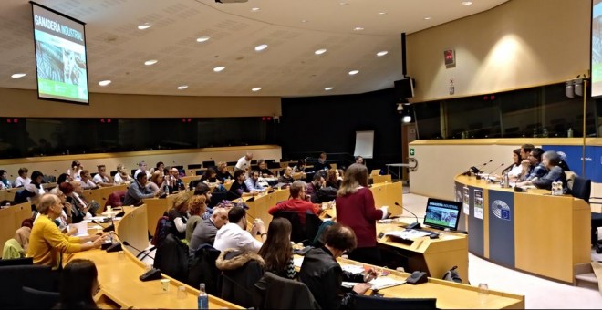 Representantes de las entidades vecinales y ambientalistas que han presentado la queja contra la ganadería industrial ante la UE celebraron este martes una sesión de trabajo en el Parlamento Europeo.