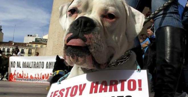 Imagen de archivo de una manifestación en contra del maltrato animal/EFE