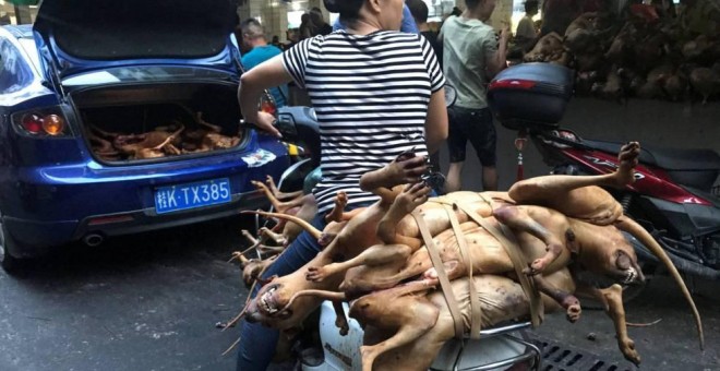 Varios carniceros con perros sacrificados en el festival de culinario de la carne de can celebrado el año pasado en Yulin. REUTERS/Tyrone Siu