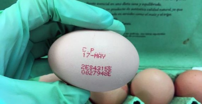 Ejemplo de huevo codificado con el número 2 (de gallina criada en suelo) / GEMA PUERTAS