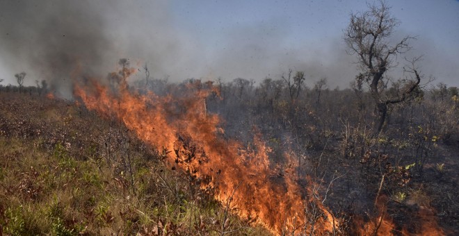 Bolivia fue el país con una mayor extensión de terreno afectada por los incendios este verano. / AFP