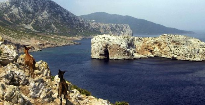 Alredores de Isla Perejil (al fondo), que será escenario de una manifestación de protesta por los llamados 'territorios ocupados' por España.