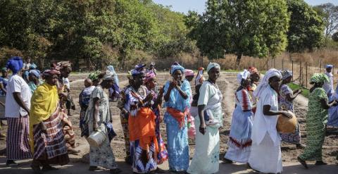 Mujeres guineanas en huertas de cultivo. A. POR LA SOLIDARIDAD