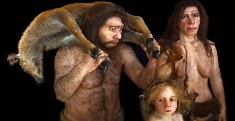 Los neandertales se repartían las tareas por sexo