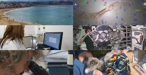 La Ciencia en vídeos / Del 11 al 15 de mayo de 2015