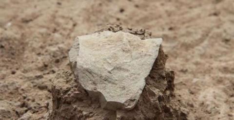 Homínidos de hace 3,3 millones de años usaron herramientas de piedra. /MPK-WTAP