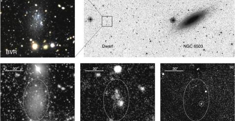 La galaxia enana, cerca de la NGC6503 (arriba a la derecha). Las imágenes de NG6503- d1 son una combinación de falso color en el rango visible (arriba a la izquierda); en el visible tomada con la Suprime-Cam (abajo a la izquierda); en el ultravioleta, con