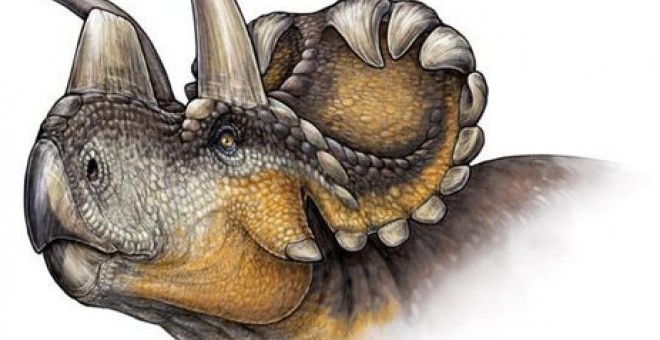 Reconstrucción de Wendiceratops pinhornensis. / Danielle Dufault