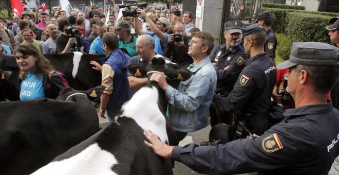La marcha organizada por los ganaderos gallegos en defensa del sector lácteo se manifiesta junto a la sede de la Xunta, en San Caetano, coincidiendo con la reunión que tiene en Madrid la ministra de Agricultura, Isabel García Tejerina, con representantes