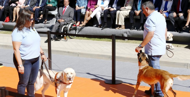 Dos instructores de la Fundación ONCE del Perro Guía realizan una demostración como parte de los actos del 25 aniversario de la organización, en un acto en el que han estado presentes, entre otras personalidades, la reina Sofía , el presidente de la ONCE,