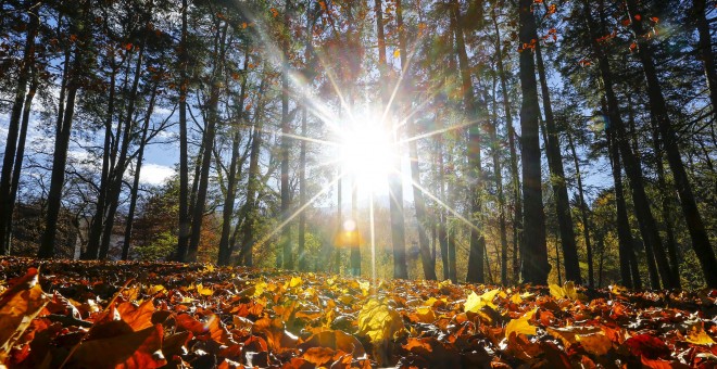 El otoño se apodera de la ciudad austriaca de Innsbruck. REUTERS/Dominic Ebenbichler