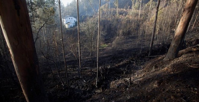 Las tareas de extinción continúan en los 14 incendios que se mantienen activos en Asturias. EFE/Carlos Castro