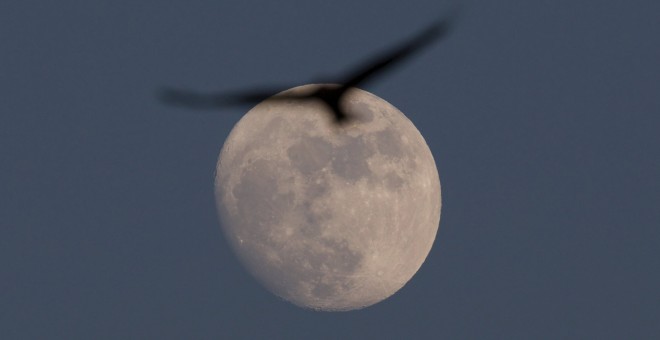 Un milano real pasa por delante de la luna. REUTERS/Amir Cohen
