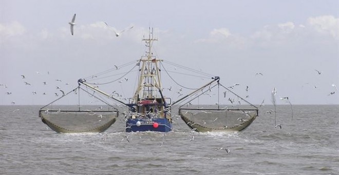 El 30 por ciento de la pesca mundial no se declara oficialmente