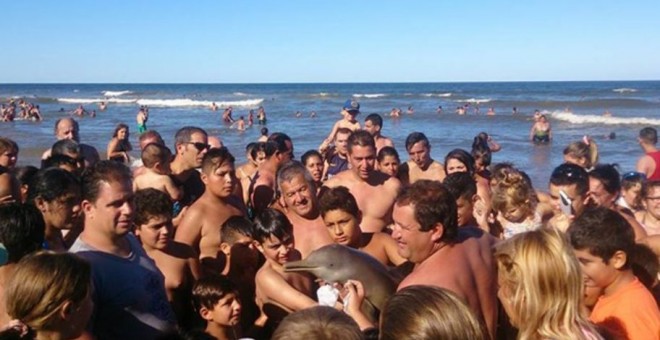 Piden que se detenga al hombre que sacó al delfín del agua en Argentina provocando la muerte del animal