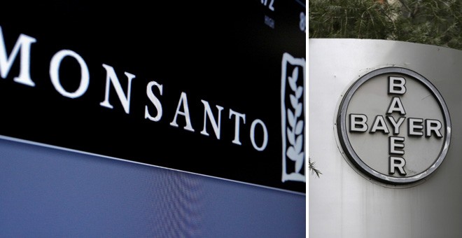 Los logos de Monsanto y de Bayer. REUTERS