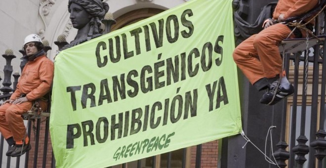 Una manifestación de Greenpeace contra los transgénicos. EFE