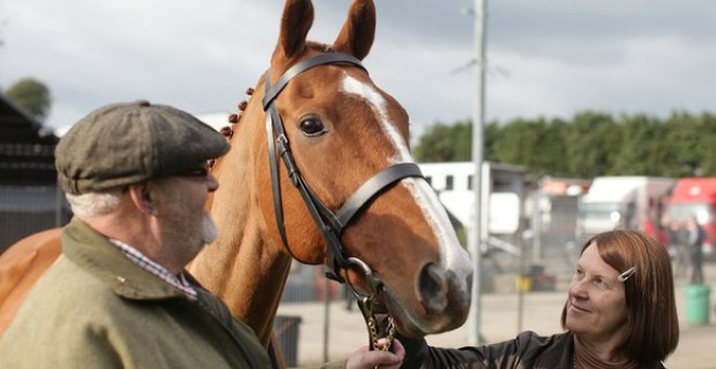 'Caballo ganador'