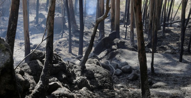 Imagen de un bosque calcinado por el incendio de Porto do son, en Pontevedra, que ha sido extinguido después de calcinar 1.600 hectáreas/REUTERS