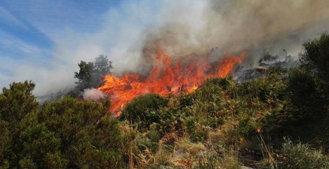 Fotografía facilitada por la Asociación Natura 2000, que considera que la existencia de varios focos en el incendio de la Garganta de los Infiernos del Valle del Jerte (Cáceres), que ha arrasado el collado de las Yeguas y la umbría de la Reserva Natural,