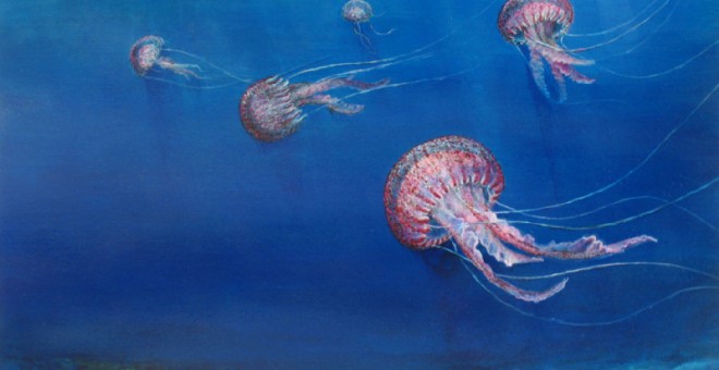 Una ilustración de uno de los 200 tipos de medusas que hay en España, la 'Pelagia noctiluca'.