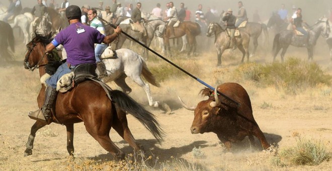 Celebración del Toro de la Vega. AFP