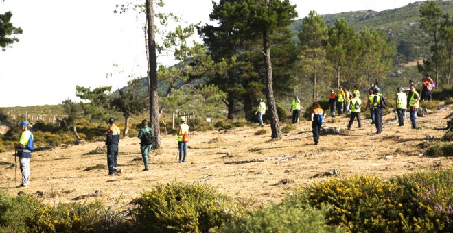 Voluntarios participan en el dispositivo de búsqueda de Diana Quer. EFE