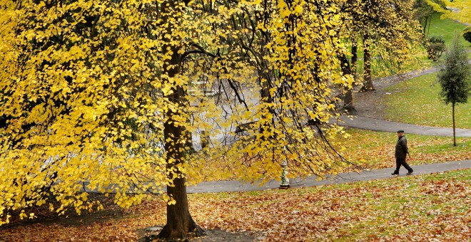 Un hombre camina entre los árboles, ocres y dorados por el otoño, del parque de doña Casilda en Bilbao. EFE