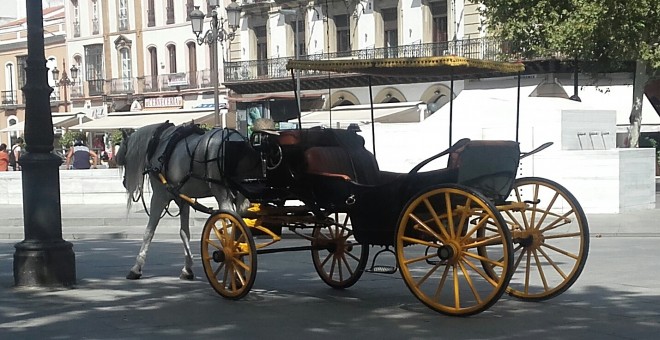 Caballos exhaustos en el centro de la ciudad de Sevilla.