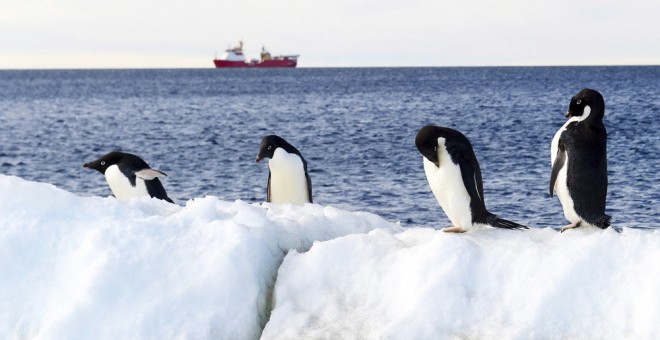 Varios pingüinos en la isla Inexpressible con el buque HMS Protector (al fondo) en la bahía de Terra Nova, en la Antártida. EFE