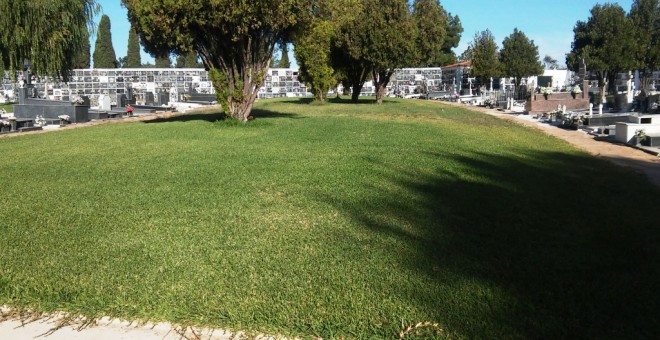 Zona de fosas en el cementerio de la Soledad