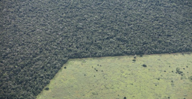 Bosques convertidos en pastos en Brasil. / Rhett A. Butler