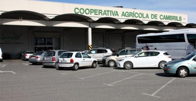 La cooperativa agrícola de Cambrils, que va tenir greus problemes el 2015.