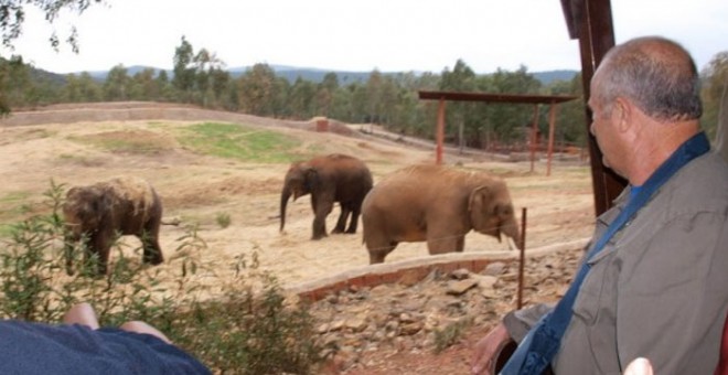 Elefantes en la Reserva del Castillo de las Guardas, en una imagen de la página web del propio zoológico.