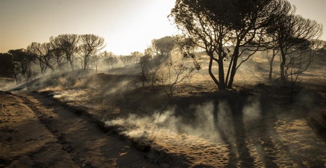 Paraje de Cuesta Maneli tras el incendio declarado el pasado sábado en el paraje 'La Peñuela' de Moguer (Huelva) y que afecta al entorno del Espacio Natural de Doñana. /EFE