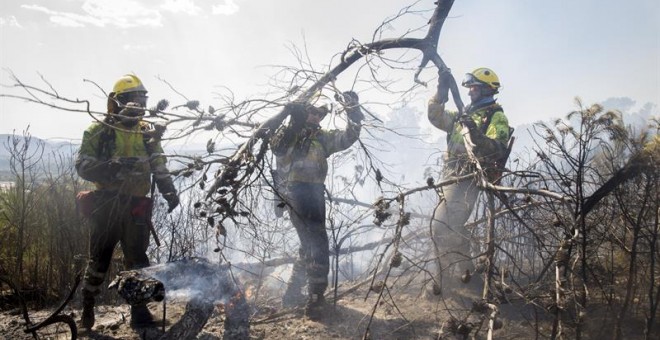 Bomberos retiran ramas de árboles quemadas en el incendio de la sierra de la Calderona. /EFE