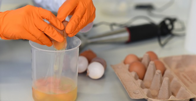 Pruebas con huevos en un laboratorio en Alemania. REUTERS/Andreas Gebert