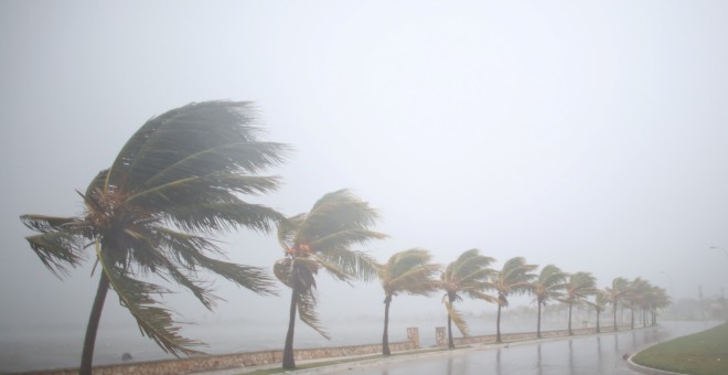El viento agita las palmeras de Caibarien antes de la llegada del huracán Irma a Cuba. / REUTERS