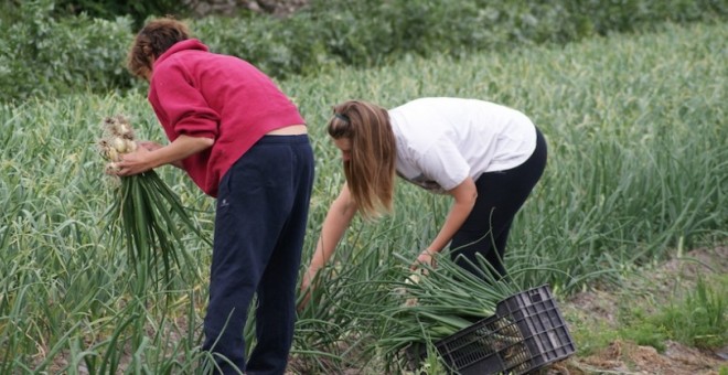 En 2017 el 60% de las asesinadas por esta lacra social residían en pequeños municipios del entorno rural. Instituto Andaluz de la mujer.