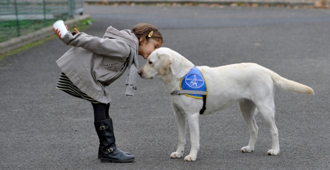 Una niña juega con un perro. AFP