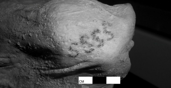 El tatuaje hallado en la momia de la mujer de Gebelein. BRITISH MUSEUM
