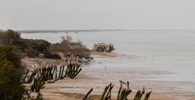 Vista de la orilla del Parque Nacional de Doñana con el río Guadalquivir. WIKIPEDIA