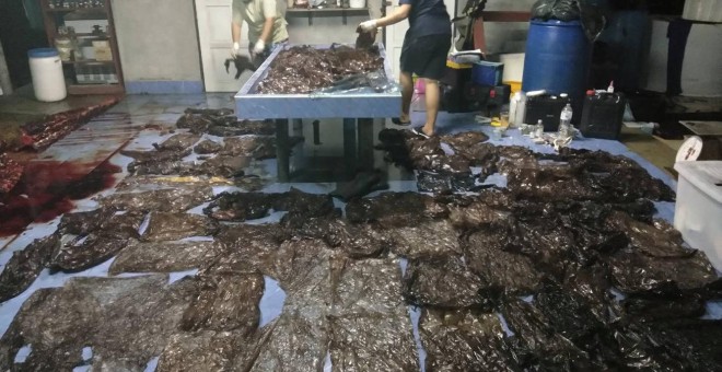 Imagen de la ballena muerta por haber tragado 80 bolsas de plástico. | Thailand's Department of Marine and Coastal Resources.