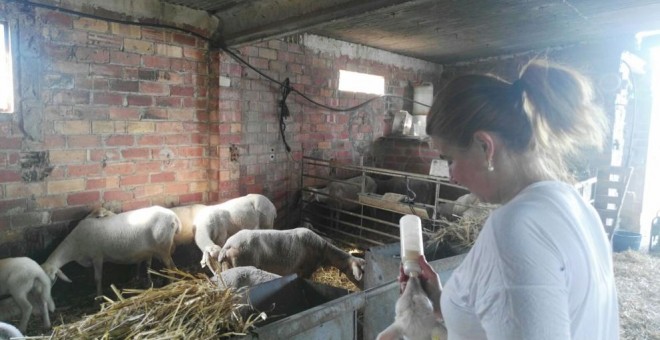 La ramadera Gemma Armilles a la seva granja.