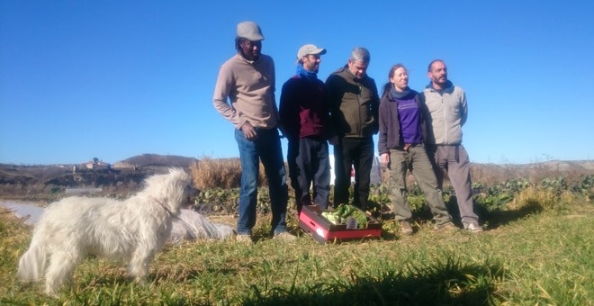 Agricultores de una finca ecológica en el Parque Agrario del Soto del Grillo, en Rivas Vaciamadrid. / PÚBLICO