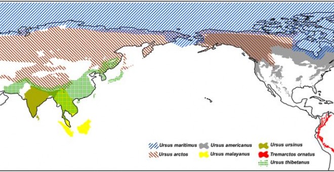 Distribución geográfica de los osos en el mundo, según datos de UICN./SCIENTIFIC REPORTS