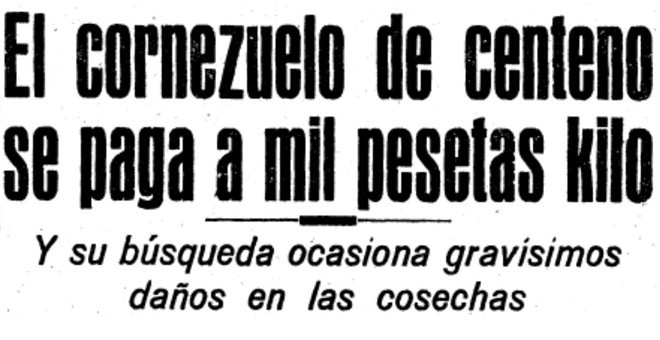 Noticia de la época sobre el precio del kilo de cornezuelo de centeno. / ILLA BUFARDA