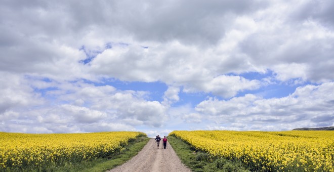 Correos te ayuda a completar el Camino de Santiago